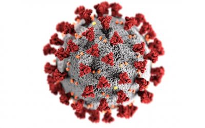 Systemic Implications of the Coronavirus