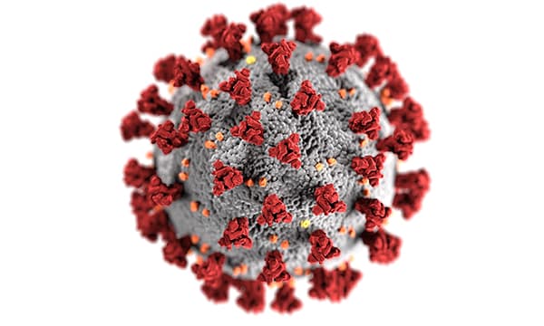 Systemic Implications of the Coronavirus